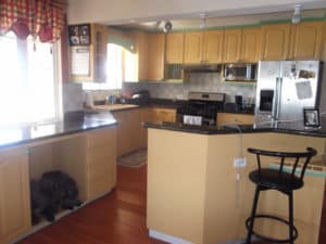 Forté Design & Construction Services Inc. Residential Home Construction